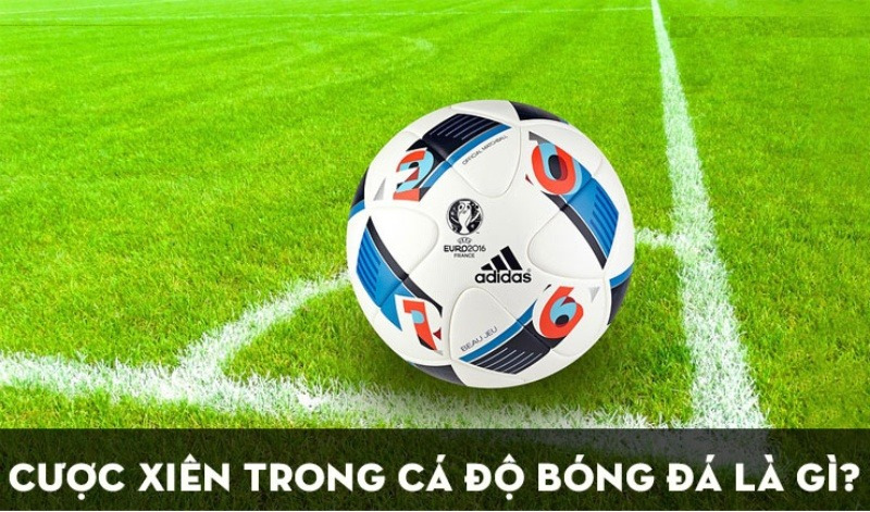 Cách tính cược xiên bóng đá hội viên tại ZBET nên biết 1 cược xiên