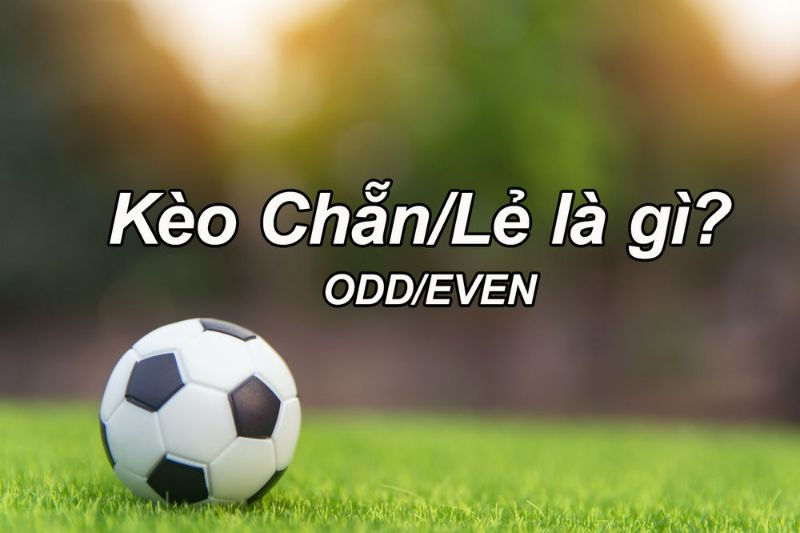Kinh nghiệm bắt kèo chẵn lẻ cá độ cược thủ không nên bỏ lỡ 1 kèo chẵn lẻ