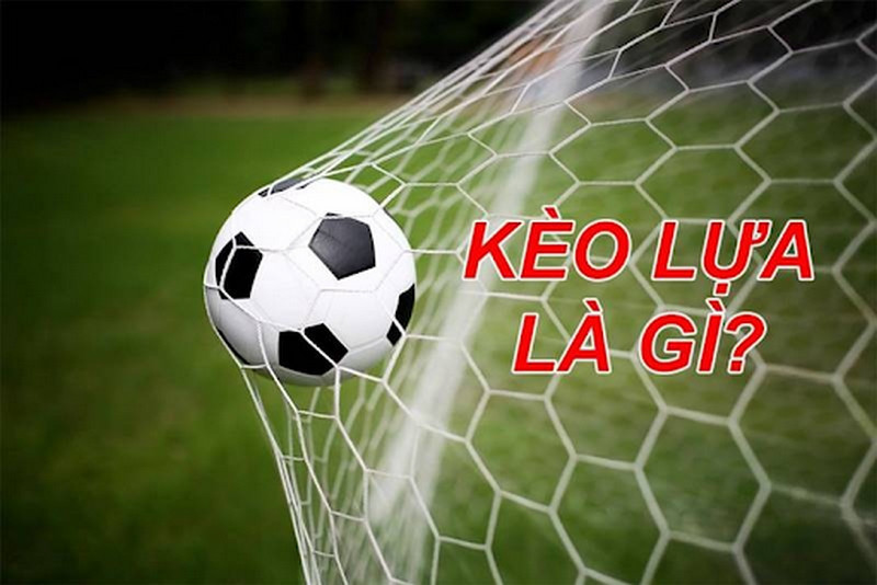 Khám phá thông tin về kèo lựa được cược thủ ZBET chia sẻ 1 kèo lựa