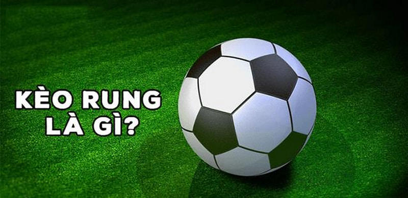 Kinh nghiệm soi kèo rung bóng đá chuẩn cho tân thủ tại ZBET 1 kèo rung