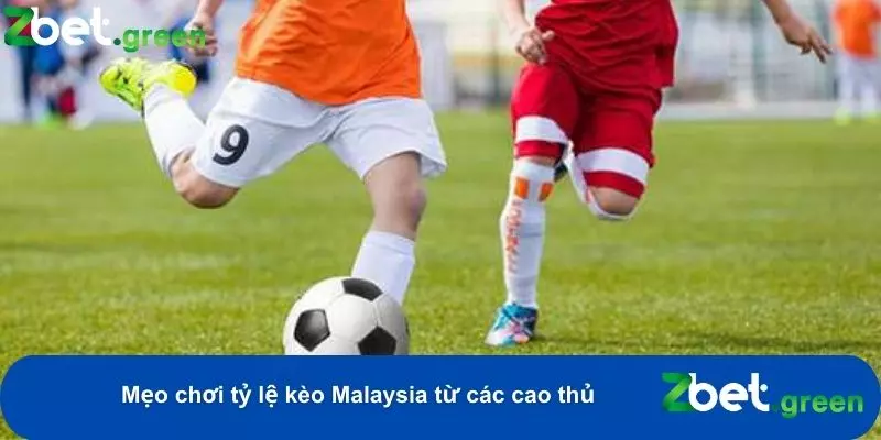Khám Phá Cách Xem Tỷ Lệ Kèo Malaysia Chi Tiết Tại Zbet 3 Các phương pháp để duy trì lợi nhuận lâu dài