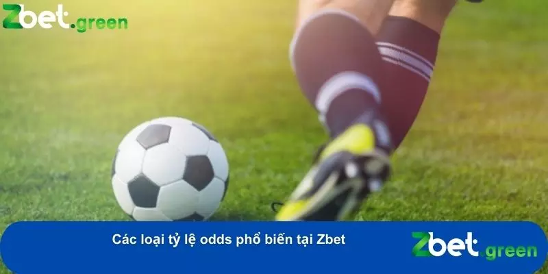 Cung cấp đa dạng các loại odds cho người chơi lựa chọn
