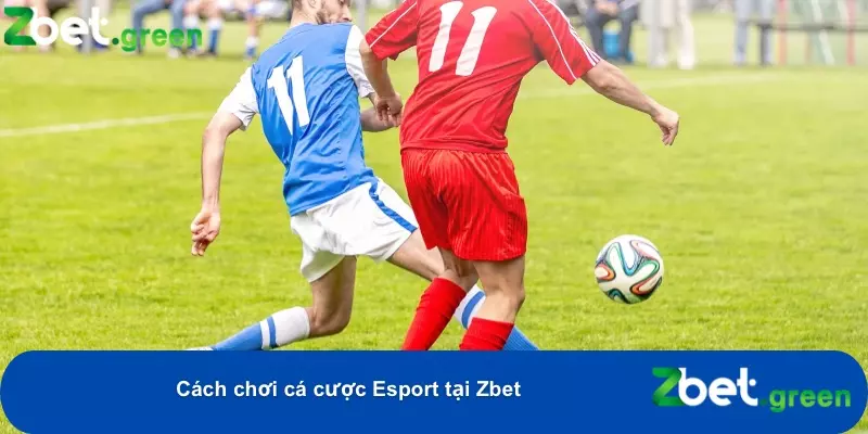 Hướng Dẫn Cá Cược Esport Tại Zbet – Kèo Hấp Dẫn, Mẹo Thắng Lớn 4 Đăng ký nhanh chóng và hoàn toàn miễn phí