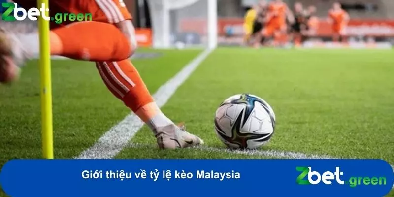 Khám Phá Cách Xem Tỷ Lệ Kèo Malaysia Chi Tiết Tại Zbet 1 Giới thiệu về tỷ lệ kèo Malaysia