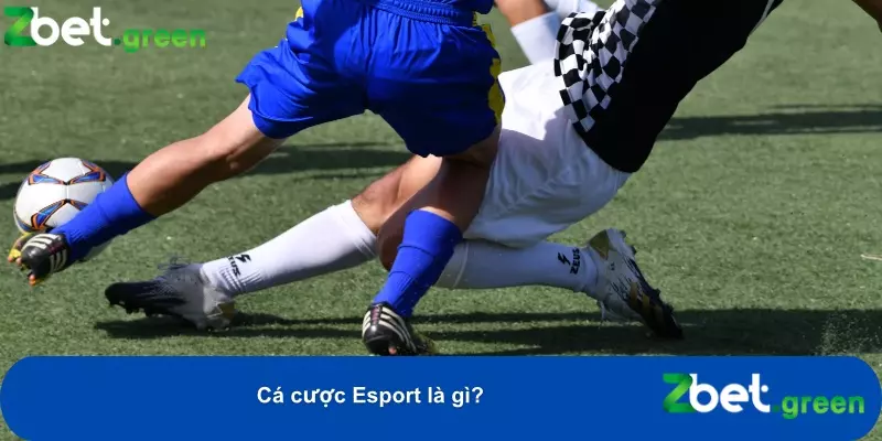 Hướng Dẫn Cá Cược Esport Tại Zbet – Kèo Hấp Dẫn, Mẹo Thắng Lớn 2 Hình thức đặt cược vào kết quả các trận đấu thể thao điện tử