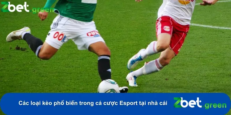 Hướng Dẫn Cá Cược Esport Tại Zbet – Kèo Hấp Dẫn, Mẹo Thắng Lớn 3 Lựa chọn đa dạng các loại kèo Esport để tham gia