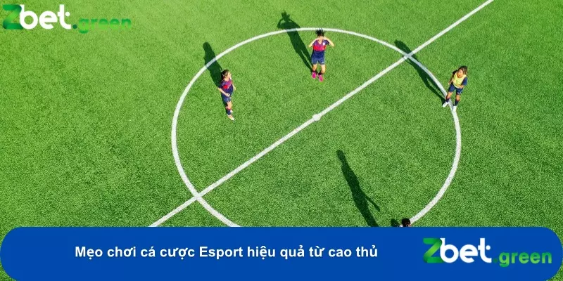 Hướng Dẫn Cá Cược Esport Tại Zbet – Kèo Hấp Dẫn, Mẹo Thắng Lớn 5 Nghiên cứu kỹ về phong độ đội và tình trạng lực lượng