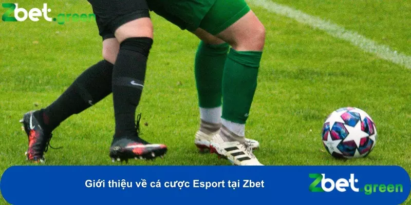 Hướng Dẫn Cá Cược Esport Tại Zbet – Kèo Hấp Dẫn, Mẹo Thắng Lớn 1 Sự lựa chọn hàng đầu với giao diện thân thiện và hệ thống bảo mật hiện đại