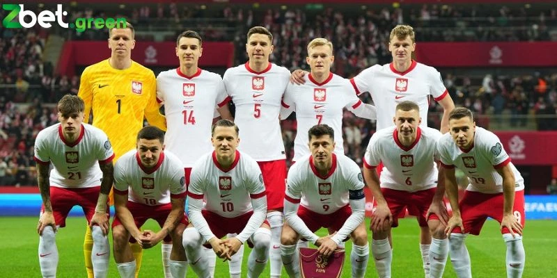 Tổng quan đội hình đội tuyển ba lan 2024