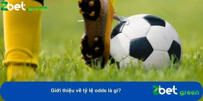 Xác suất và lợi nhuận tiềm năng từ việc đặt cược vào một kèo